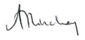 Anne Hinchey handwritten signature