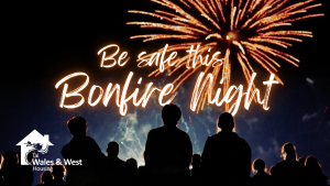 Be safe this bonfire night image