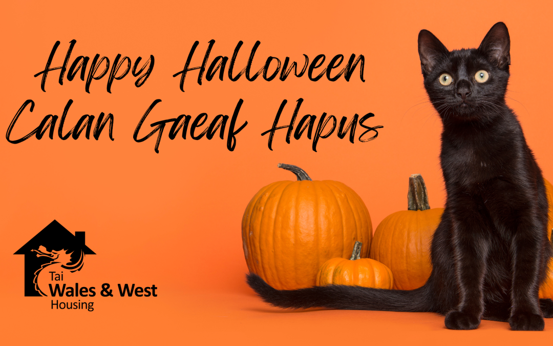 Arhoswch yn ddiogel ar noson Calan Gaeaf a noson Tân Gwyllt eleni