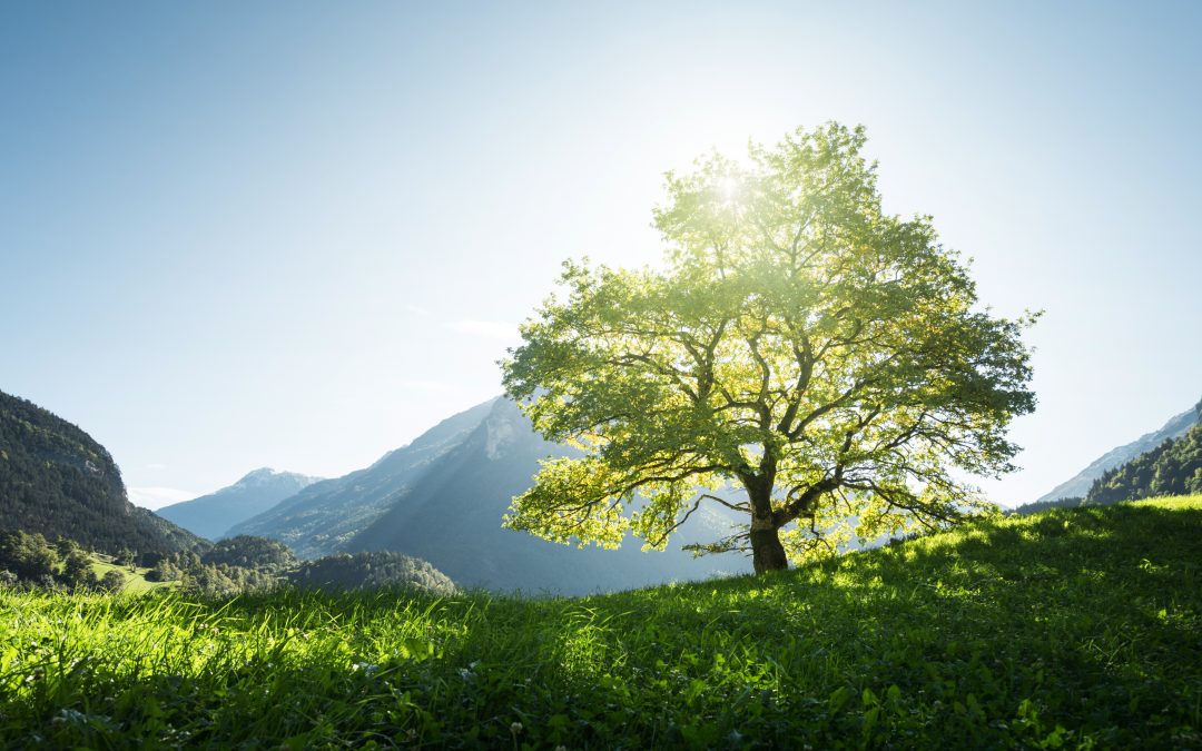 A Journey through seasons